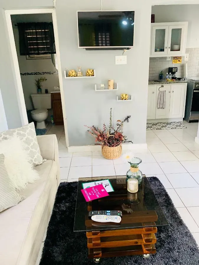 Studio 13 Apartment Kingston Jamaica